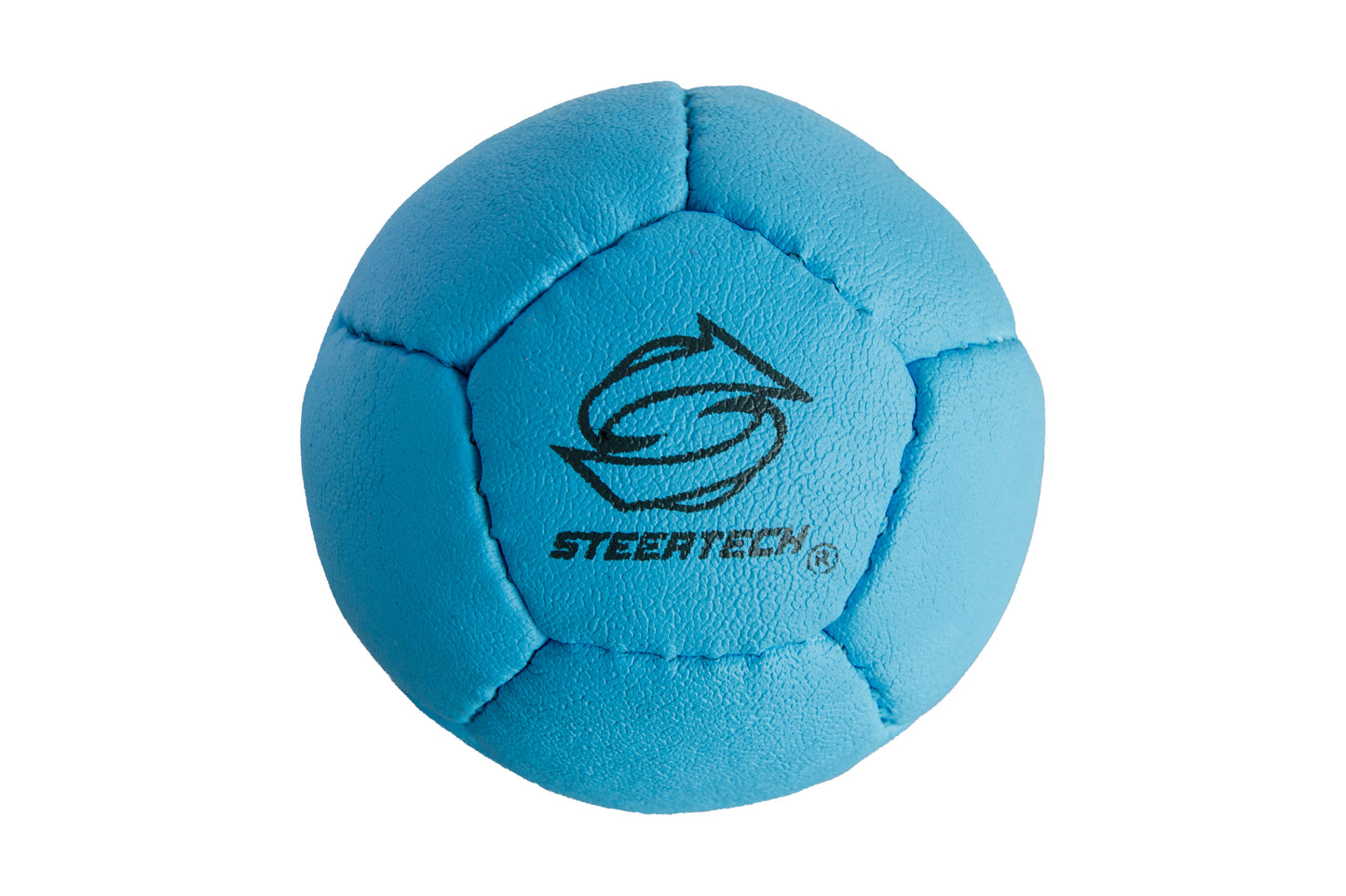 【ミニ】ボッチャボール単品