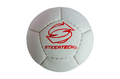 【ミニ】ボッチャボール単品