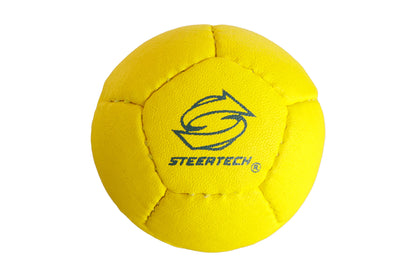 【ミニ】ボッチャボール単品