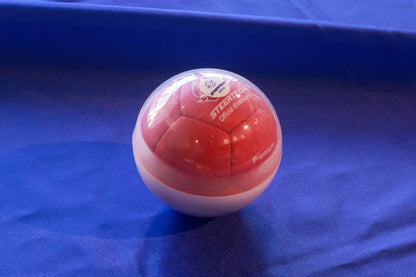 ボッチャボールケース