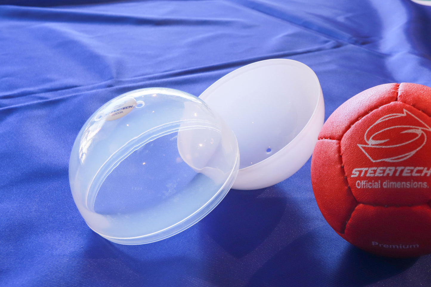 ボッチャボールケース